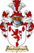 Irish Family Coat of Arms (v.23) for MacGeoghegan or O'Houghegan