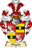 v.23 Coat of Family Arms from Germany for Fleisch