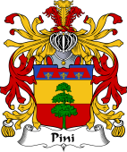 Italian Coat of Arms for Pini