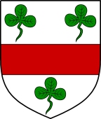 Irish Family Shield for Taggart or MacEntaggart
