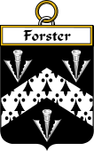 Irish Badge for Forster