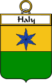 Irish Badge for Haly or O'Haly
