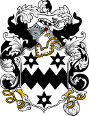 English or Welsh Coat of Arms for Salter (Norfolk)