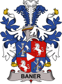 Swedish Coat of Arms for Baner