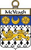 Irish Badge for McVeagh or McFingah