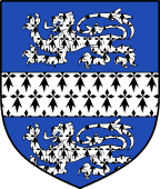 English Family Shield for Dickinson