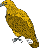 Birds of Prey Clipart image: Pallas' Fish Eagle