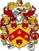 English or Welsh Coat of Arms for Nixon (Blechingdon, Oxford)
