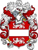 English or Welsh Coat of Arms for Payne