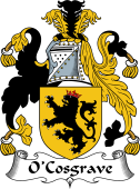 Irish Coat of Arms for O'Cosgrave