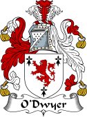 Irish Coat of Arms for O'Dwyer