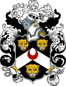 English or Welsh Coat of Arms for Hayes