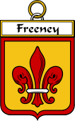 Irish Badge for Freeney