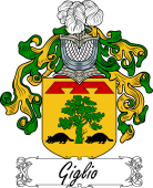 Araldica Italiana Coat of arms used by the Italian family Giglio