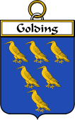 Irish Badge for Golding