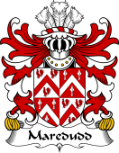 Welsh Coat of Arms for Maredudd (or Meredith, AP MORGAN)