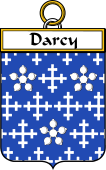 Irish Badge for Darcy
