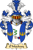 Irish Family Coat of Arms (v.23) for O'Mackesy