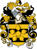 English or Welsh Coat of Arms for Maney (Linton, Kent)