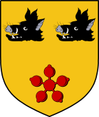 Scottish Family Shield for Culane or Culline