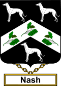 English Coat of Arms Shield Badge for Nash