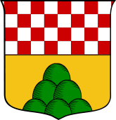 Italian Family Shield for Tomasetti