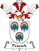 Coat of Arms from Scotland for Peacock