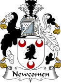 Irish Coat of Arms for Newcomen (Langford)