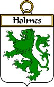 Irish Badge for Holmes
