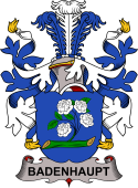 Coat of arms used by the Danish family Badenhaupt