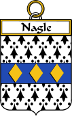 Irish Badge for Nagle