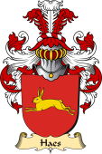 v.23 Coat of Family Arms from Germany for Haes