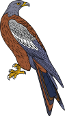 Birds of Prey Clipart image: Red Kite