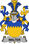Irish Coat of Arms for Walter