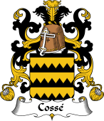 Coat of Arms from France for Cossé