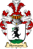 v.23 Coat of Family Arms from Germany for Hermann