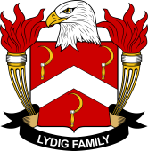 American Coat of Arms for Lydig