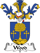 Coat of Arms from Scotland for Wood