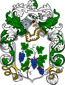 English or Welsh Coat of Arms for Winchester (Ref Berry)