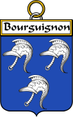 French Coat of Arms Badge for Bourguignon