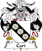 Portuguese Coat of Arms for Cari