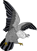 Birds of Prey Clipart image: Lammergeier Vulture