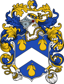 English or Welsh Coat of Arms for Orchard (Devonshire)