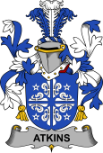 Irish Coat of Arms for Atkins