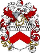 English or Welsh Coat of Arms for Petty (Rumsey, Hants)