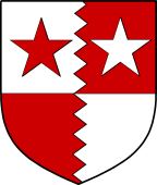 Scottish Family Shield for Townis or Townes
