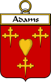 Irish Badge for Adams