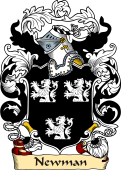 English or Welsh Family Coat of Arms (v.23) for Newman