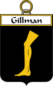 Irish Badge for Gillman