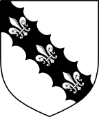 English Family Shield for Sale (s)